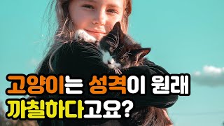 고양이 까칠하다 느끼는 이유 | Why do cats feel proud | 냥이생각