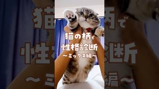 猫の毛柄で性格が決まっている？あなたの猫はどう？ #猫