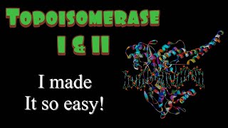 Topoisomerase I and II