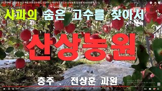 [사과농사의 달인] 나무에게 부담 주지마라. 52년생 . 전상훈 산상농원