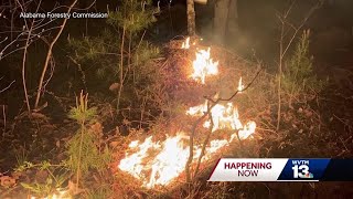 Wildfire In Shelby County