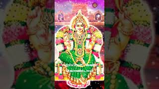 இருக்கன்குடி மாரியம்மன் பாடல் Irukkankudi Mariamman      Amman whatsup status song