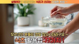 식초를 이렇게 다양하게 활용 할 수 있는지 저도 만들면서 처음 알았네요 음식에 청소에 정말 다양한 방법 77가지 알려드립니다 !!