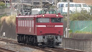 【ジャカルタ配給の前日】EF81-141号機  新習志野まで送り込み回送　西船橋駅