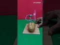 potato free energy with dc motor experiment shorts trending experiment