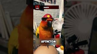 Самый хитрый попугай 🦜☺️ #животные #милыеживотные