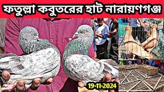 19-11-2024 ফতুল্লা কবুতরের হাট নারায়ণগঞ্জ। কম দামে গিরিবাজ কবুতর। কবুতরের খাঁচার দাম। Fatullah hat.