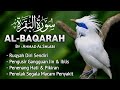 MUROTTAL ALQURAN MERDU Surah Al-BAQARAH | Pengusir Jin & Iblis, Penenang Hati, Jiwa Dan Pikiran