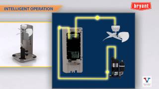 Bryant Evolution V Heat Pump Informational Video