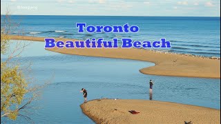 【Canada】Beautiful Beach in Toronto - Rouge Beach and Marsh Park (Rouge National Urban Park)