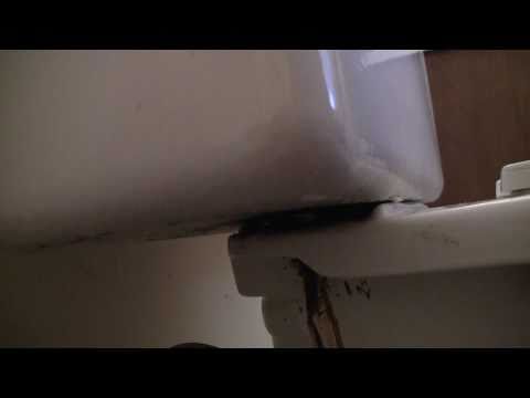 How to cut rusted toilet bolts from tank (in seconds) How to cut rusted toilet bolts from tank (in seconds)