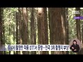 충남서 촬영한 작품 ott서 흥행..전국 3위 촬영지 부상 대전mbc