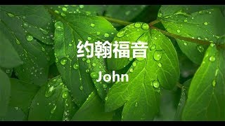 約翰福音(25) 第十三章18~38節