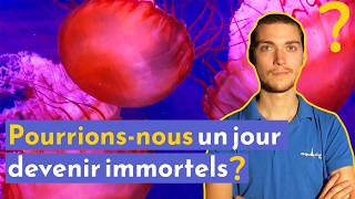 Animaux immortels : pourrions-nous un jour devenir immortels ?