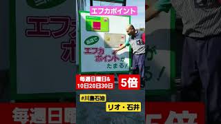 川島石油 徳島県 エフカポイント 貯まる 毎週日曜日 10日 20日 30日 ポイント5倍 石井町 リオ石井  #shorts  人材募集