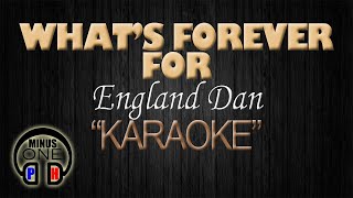 WHAT'S FOREVER FOR - England Dan (KARAOKE) Original Key