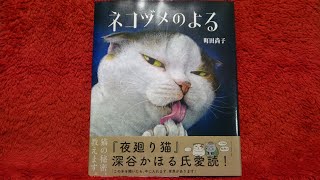 【朗読】ネコヅメのよる