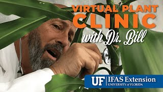 The Virtual Plant Clinic With Dr. Bill February 20, 2025