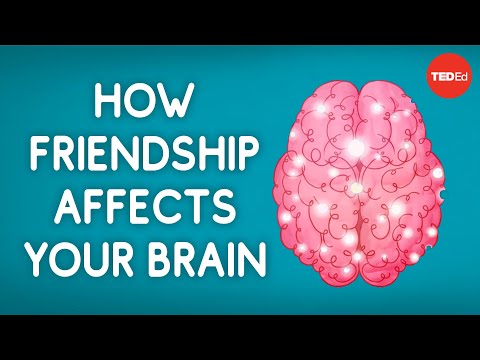 Do your friends influence your behavior?