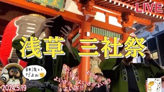 三社祭 浅草神社例大祭2024【山口かおり】ちんあなごch祭班