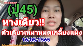 วิ่งถล่มเจ้า #ปู่45ย้ำ คัดทุกสูตร #หางเดียว #เหมาหมดเกลี้ยงแผง #วิ่งบนตัวเดียว5แสน #16พฤษภาคม2565