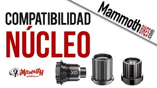 Compatibilidad de Núcleos y Cassettes de Bicicleta de Montaña