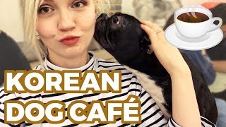 🐶 Cutest Dog Café in Seoul