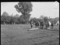 canadian lumberjack heavy tree hewed and sawed in record time 1914 1918