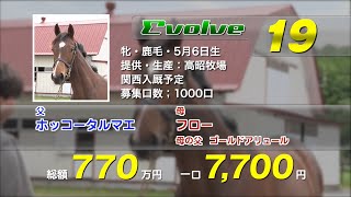 Evolve19(牝1歳 ホッコータルマエxフロー)の2022年1歳馬募集DVD収録動画＜立ち/歩様/生産者インタビュー/放牧風景＞