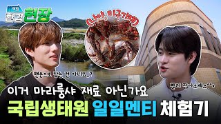 이 남자들이 하천으로 떠난 이유🦞ㅣ체험! 환경현장 #국립생태원 #외래생물