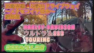 2023/11.28 Harley-Davidsonウルトラ＆883🏍️bike touring🏍️滋賀県〜比叡山ドライブウェイ〜メタセコイヤ並木の紅葉〜鯖街道