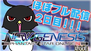 【PSO2NGS cβt】第2回CBT！2日目も限界まで遊んでいきます！！！part2（ブロック45）