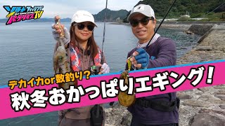 サイトで数釣り？ディープでデカイカ？秋冬おかっぱりエギングの醍醐味in愛媛県宇和島（ソルパラTV）