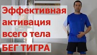 Эффективная активация всего тела. Бег тигра