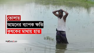 ভোলায় আমনের ব্যাপক ক্ষতি, কৃষকের মাথায় হাত | Bhola | Farmers | Agricultural