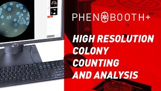 Colony Counting and Analysis: PhenoBooth+