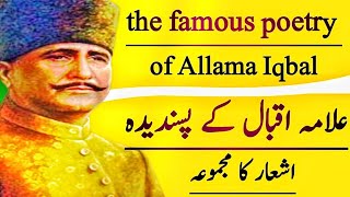kalam e iqbal shaheen | allama iqbal voice| iqbaliyat | urdu poetry