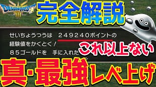 【ドラクエ３リメイク攻略】レベル上げ完全版！これ以上のレベル上げはありません！知れば楽々爆速最強最高効率！ネタバレあり