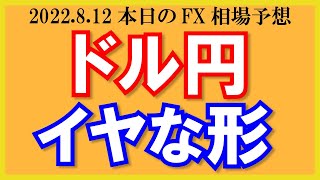 【ドル円】シナリオ変わらず上がったら売りたい！お盆休みで夏枯れ相場！【2022/8/.FX相場予想】