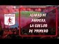 hoy juega el rojo otra vez américa de cali letra