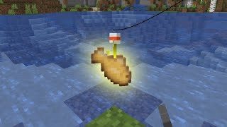the rarest thing you can fish in minecraft