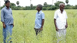 நெருக்கமாக பயிர்கள் இருக்கும்போது களை என்ற சொல்லுக்கே இடம் கிடையாது..! | Uzhave Ulagu