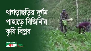 খাগড়াছড়ির রামগড়ে দুর্গম পাহাড়ে বিজিবি’র কৃষি বিপ্লব