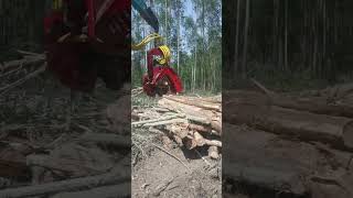 XUVOL logging machine, more efficient logging