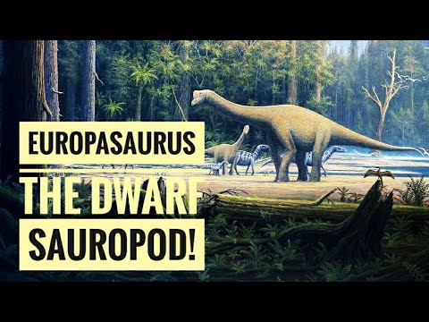Why was the Europasaurus so small?