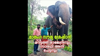 മാതംഗ സൗമ്യ ശ്രേഷ്ഠൻ മൗട്ടത്ത് രാജേന്ദ്രനും... സാരഥി അനി ചേട്ടനും ARS വ്ലോഗ്സിൽ