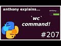 the `wc` command (beginner) anthony explains #207