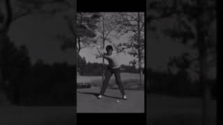 激レア映像‼️ジャンボ尾崎プロ✨プロ入り前1969年22歳のドライバーショット✨ #golf #ゴルフ #ゴルフスイング #ジャンボ尾崎 #ドライバーショット