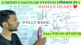 Heart Working Process !! हृदय कार्यविधि !!Human Cardiovascular System  #science #humanheartdiagram