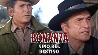 Recopilación Bonanza | Temporada 07 Capitulo 19+20 | Niño Del Destino | Capítulo Completoa